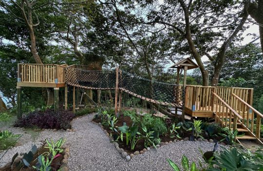 Copy of Copy of Copy of IMG_0146